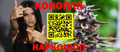 молекула духа Заволжье