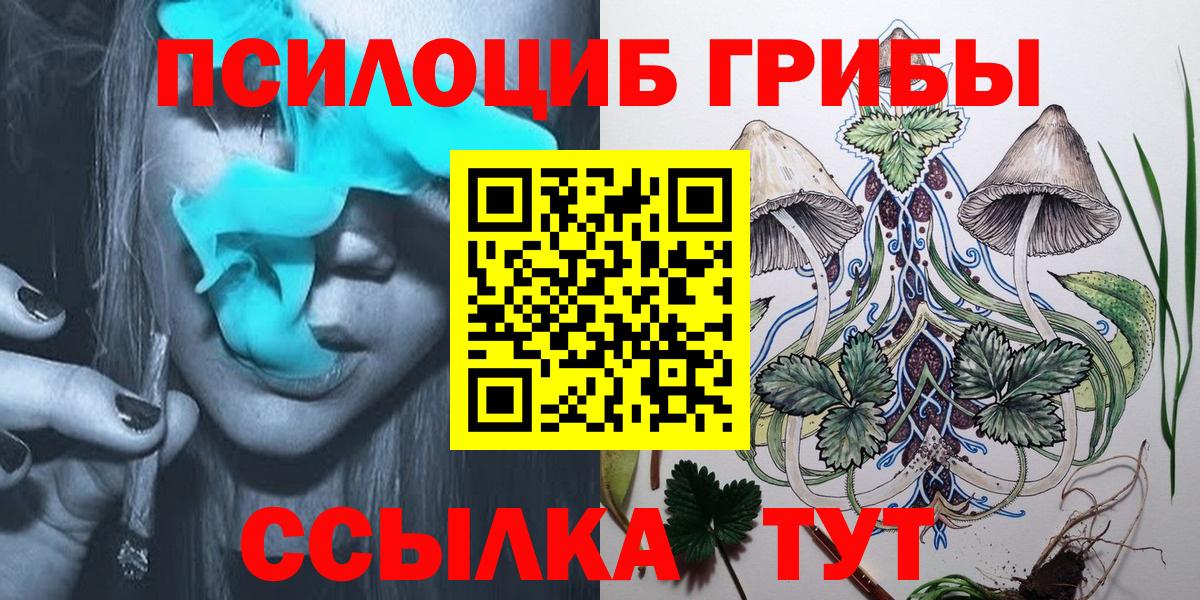 Псилоцибиновые грибы Cubensis Майкоп